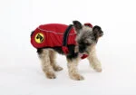 Kurtka dla psa przeciw kleszczom i pchłom z elementem odblaskowym, XXXXS, długość grzbietu 20 cm – Dog Armor Knockdown Coat (Insect Shield)