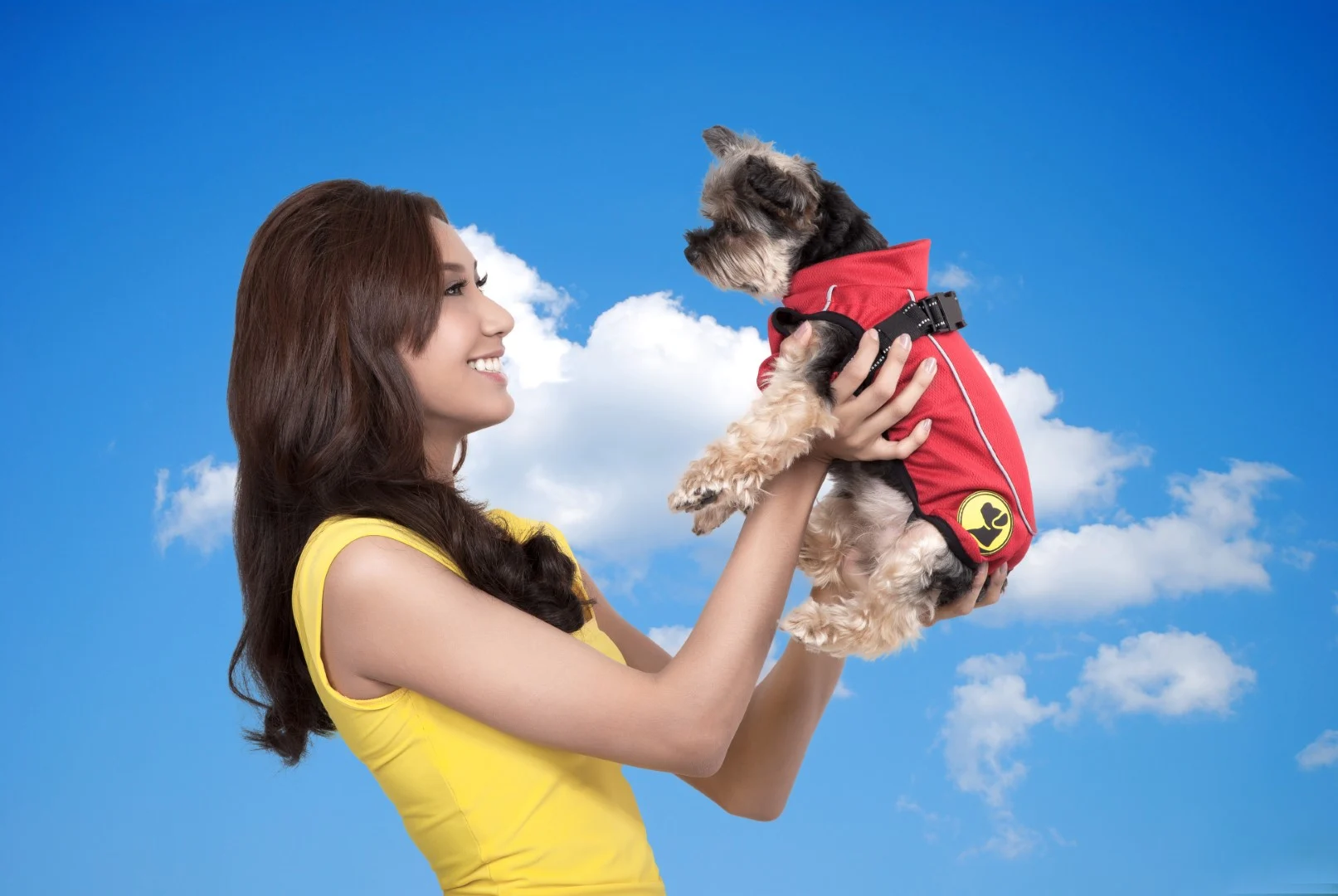 Kurtka dla psa przeciw kleszczom i pchłom z elementem odblaskowym, XXXXS, długość grzbietu 20 cm – Dog Armor Knockdown Coat (Insect Shield) - obrazek 5