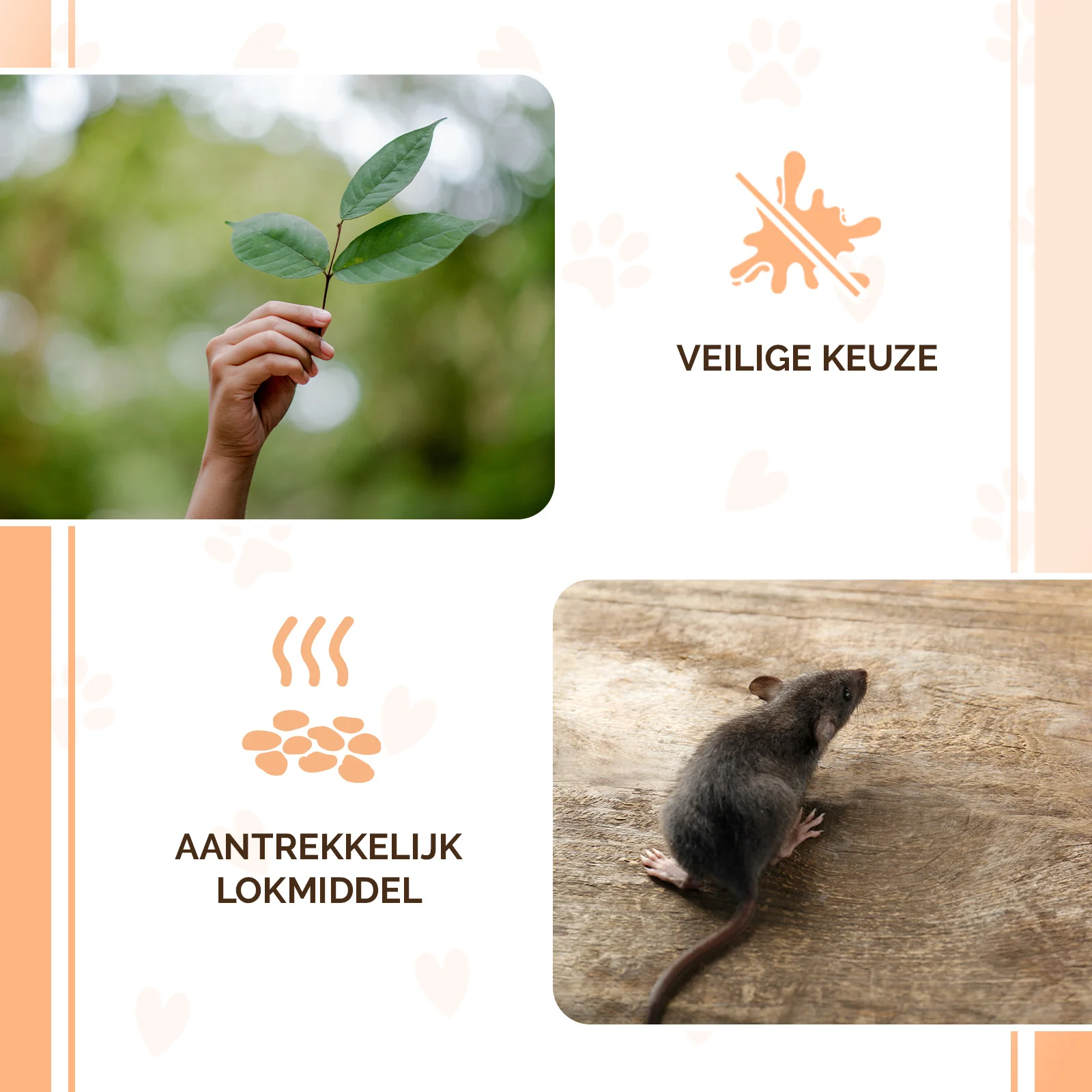 Granulki wabiące na myszy i szczury, 50 g – przysmak Knock Pest w granulkach - obrazek 4