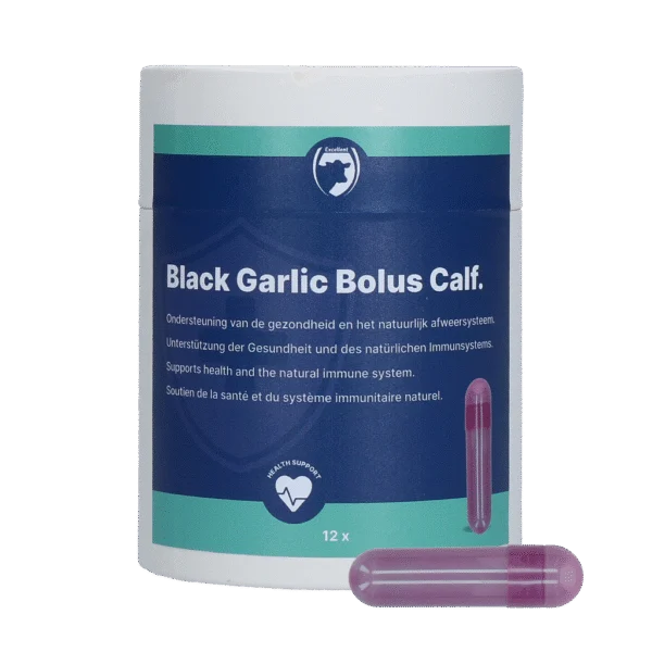 Bolus czosnkowy dla cieląt z żeń szeniem i cykorią – Excellent Black Garlic Bolus Kalf