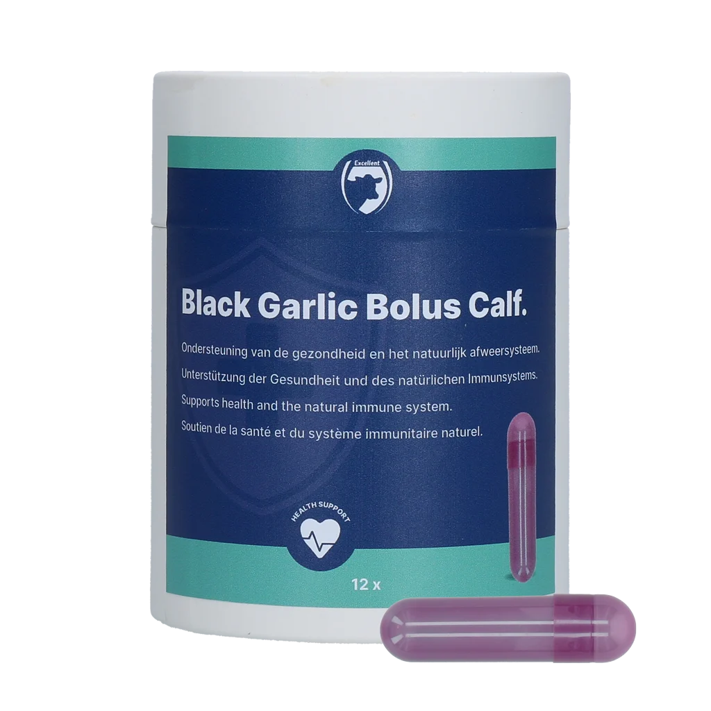 Bolus czosnkowy dla cieląt z żeń szeniem i cykorią – Excellent Black Garlic Bolus Kalf - obrazek 1