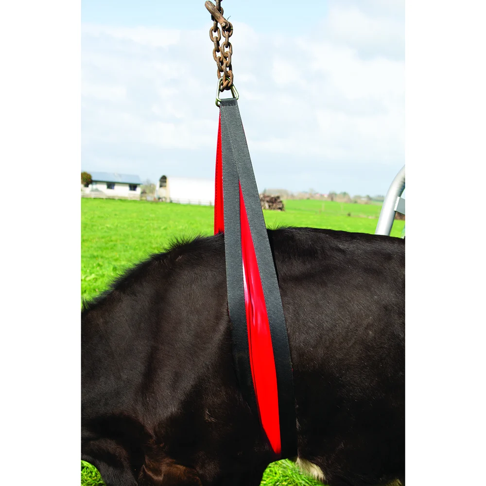 Pas brzuszny do podnośnika dla krów 2,4 m, szerokie podparcie brzucha 20 cm – Belly strap Front Lift - obrazek 1