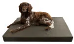 Ortopedyczne legowisko dla psa z pianką memory foam 3 cm, 90 x 125 cm – Hofman Animal Care HD Dog Bed L - obrazek 2