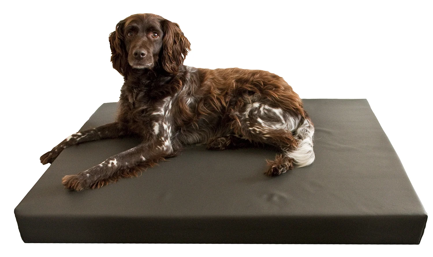 Ortopedyczne legowisko dla psa z pianką memory foam 3 cm, 90 x 125 cm – Hofman Animal Care HD Dog Bed L - obrazek 2