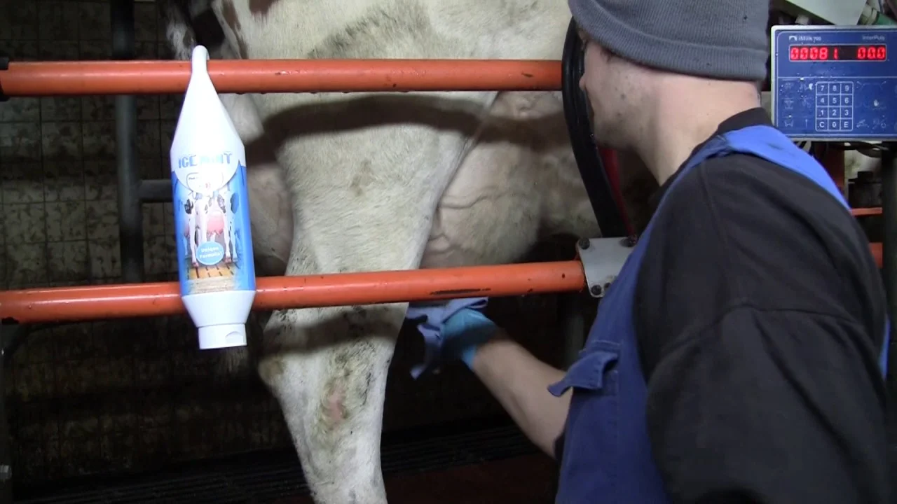 Żel do wymion z olejkiem miętowym w tubie z uchwytem, 1 l – Vet Animal Care Ice Mint - obrazek 2