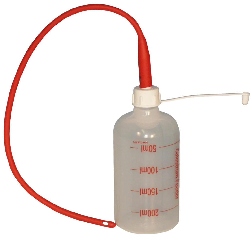 Sonda do pojenia jagniąt 40 cm z butelką 250 ml - obrazek 1