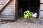 Blok do dziobania dla kur niosek z siana łąkowego, 3,5 kg – LAX Tierfutter - obrazek 4