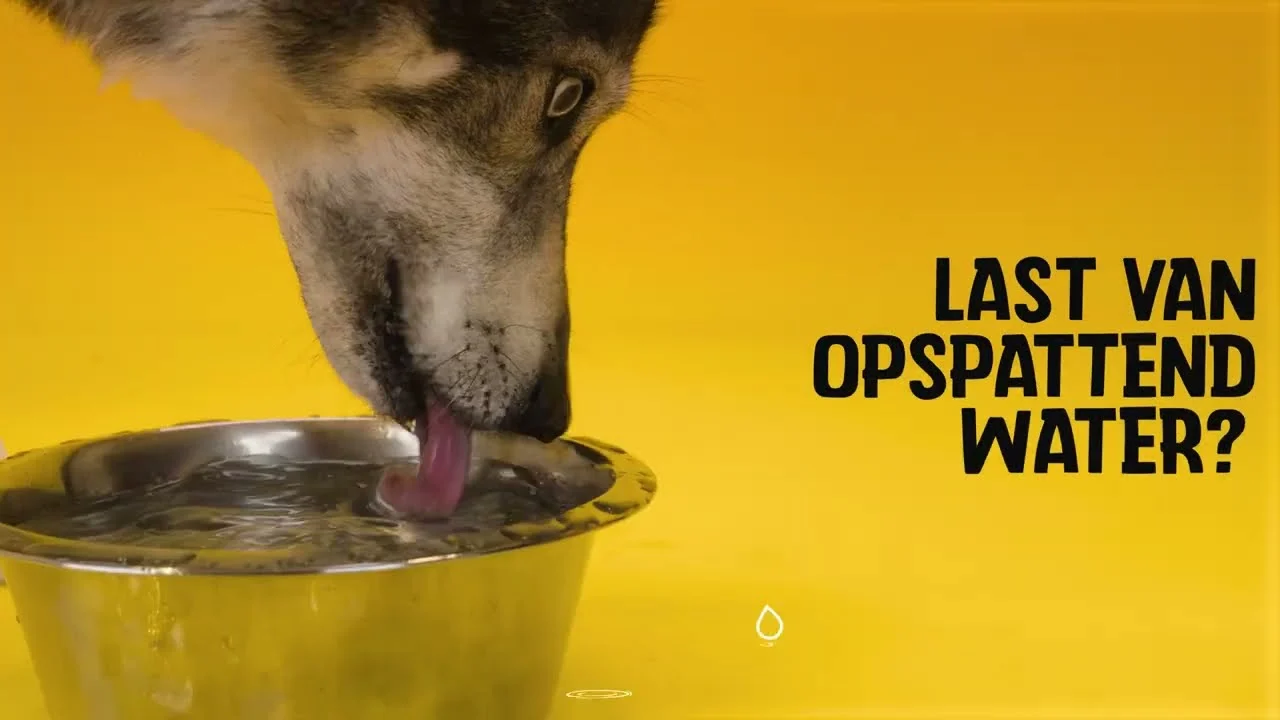 Silikonowa miska dla psa na karmę i wodę z rantem zapobiegającym rozchlapywaniu, 800 ml, antracytowa – Excellent Pets No-Spill Bowl - obrazek 4