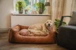 Legowisko dla psa z wyjmowaną poduszką L, antracytowe – Let's Sleep Sweet Dreams - obrazek 2