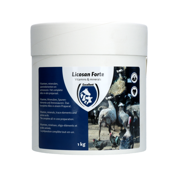 Suplement witaminowy z minerałami i aminokwasami, 1 kg – Excellent Licosan Forte