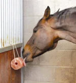 Lizawka z himalajskiej soli dla koni ze sznurem, 2 do 3 kg – Excellent Horse Salt Lick Himalaya - obrazek 2