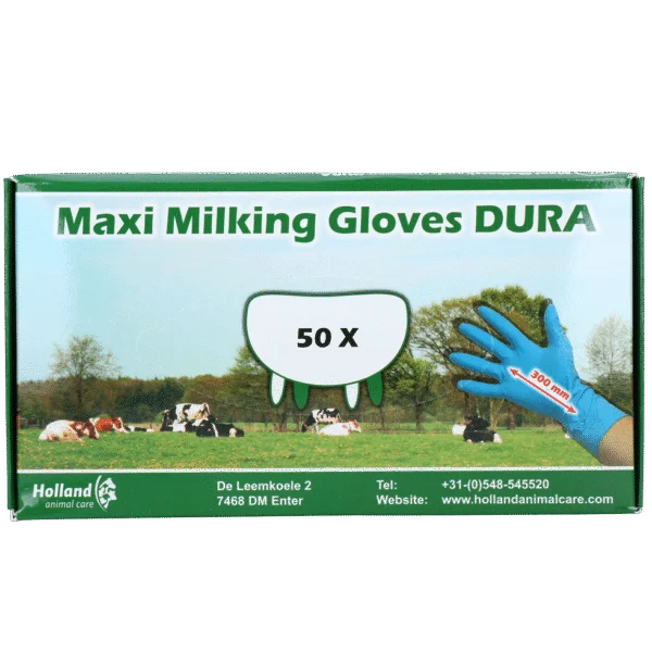 Rękawice udojowe Extra Grube i Długie, rozmiar S (6–7), 50 sztuk – Hofman Animal Care Maxi Milking Gloves DURA