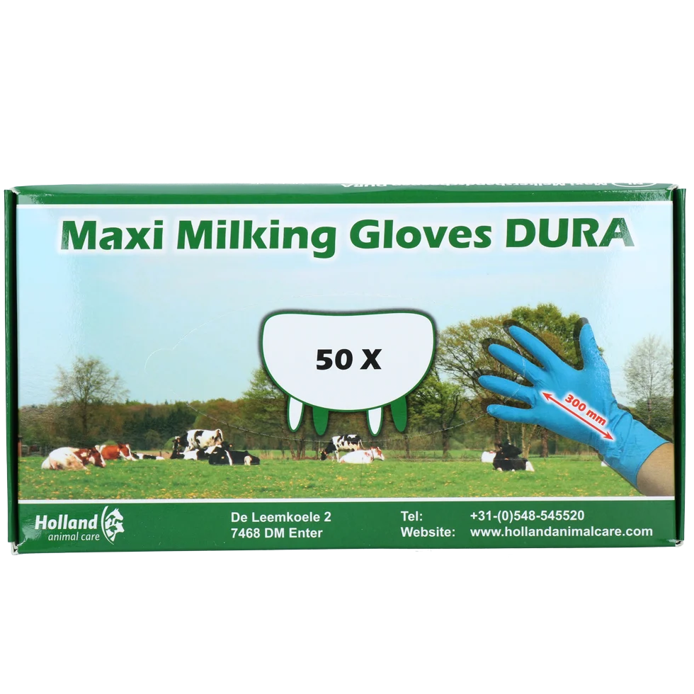 Rękawice udojowe Extra Thick and Long, rozmiar XXL (10), 50 sztuk – Hofman Animal Care Maxi Milking Gloves DURA - obrazek 1