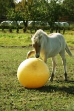 Żółta piłka do zabawy dla koni, 65 cm – Maximus Power Play Ball - obrazek 3