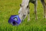 Kostka do zabawy z paszą dla koni z otworem na przysmaki 37 mm, niebieska – Maximus Feed & Play Cube - obrazek 3