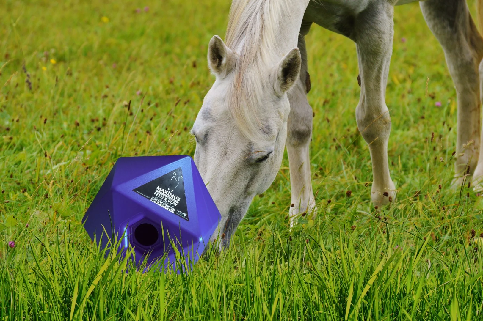 Kostka do zabawy z paszą dla koni z otworem na przysmaki 37 mm, niebieska – Maximus Feed & Play Cube - obrazek 3
