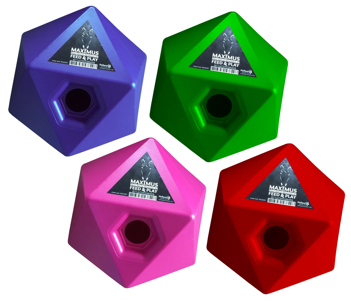 Kostka do zabawy z paszą dla koni z otworem na przysmaki 37 mm, zielona – Maximus Feed & Play Cube - obrazek 2