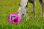 Różowa kostka na paszę dla koni, otwór na przysmaki 37 mm – Maximus Feed & Play Cube - obrazek 3