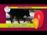 Plastikowe jajko do zabawy dla psa, fioletowe, 20 cm – Jolly Pets Egg - obrazek 6