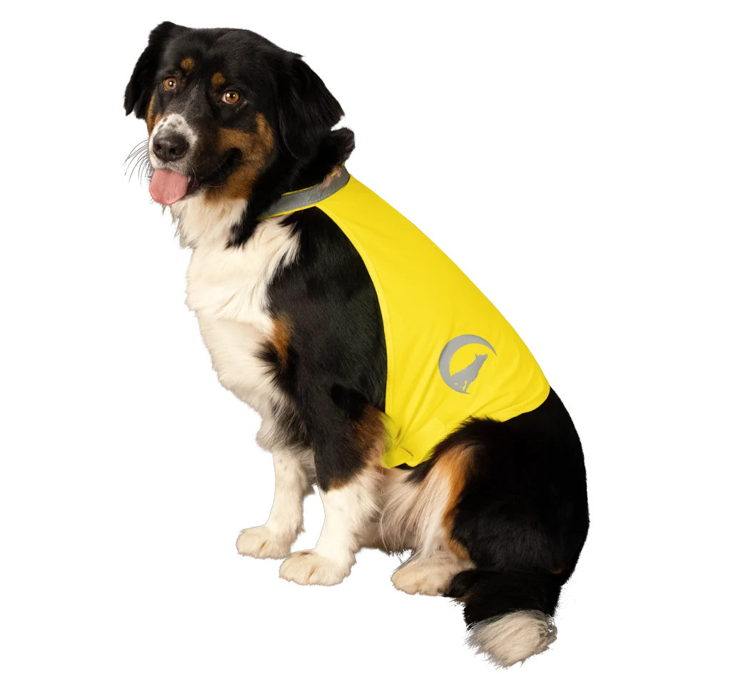 Kamizelka odblaskowa dla psa z elementami odblaskowymi i zapięciem na rzep, żółta, M – Nightwalk Safety Vest - obrazek 3