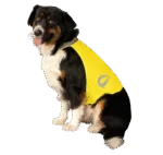 Kamizelka odblaskowa dla psa z elementami odblaskowymi i zapięciem na rzep, żółta, L – Nightwalk Safety Vest - obrazek 3
