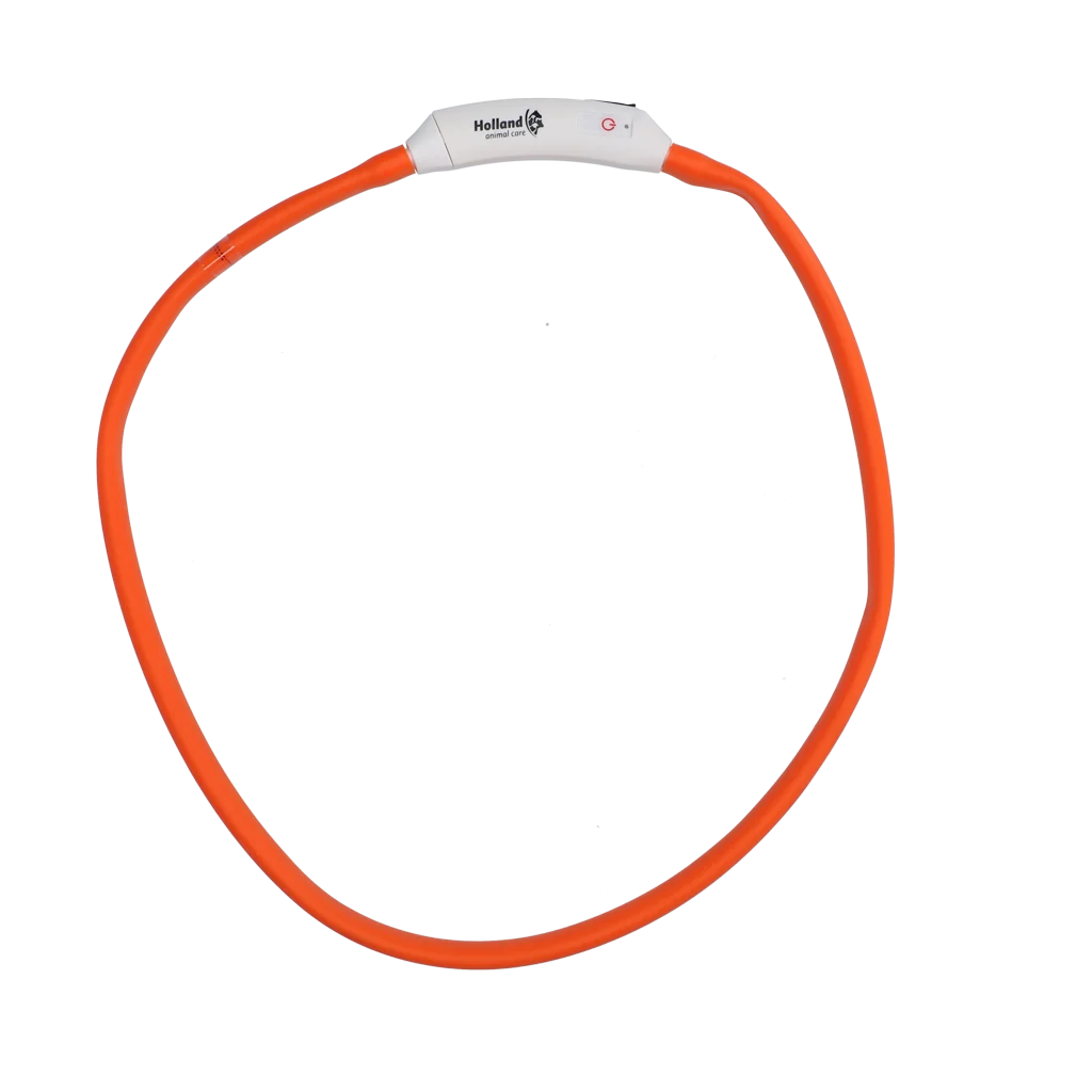 Świecąca obroża dla psa, ładowana, pomarańczowa – Nightwalk Safety Collar - obrazek 4