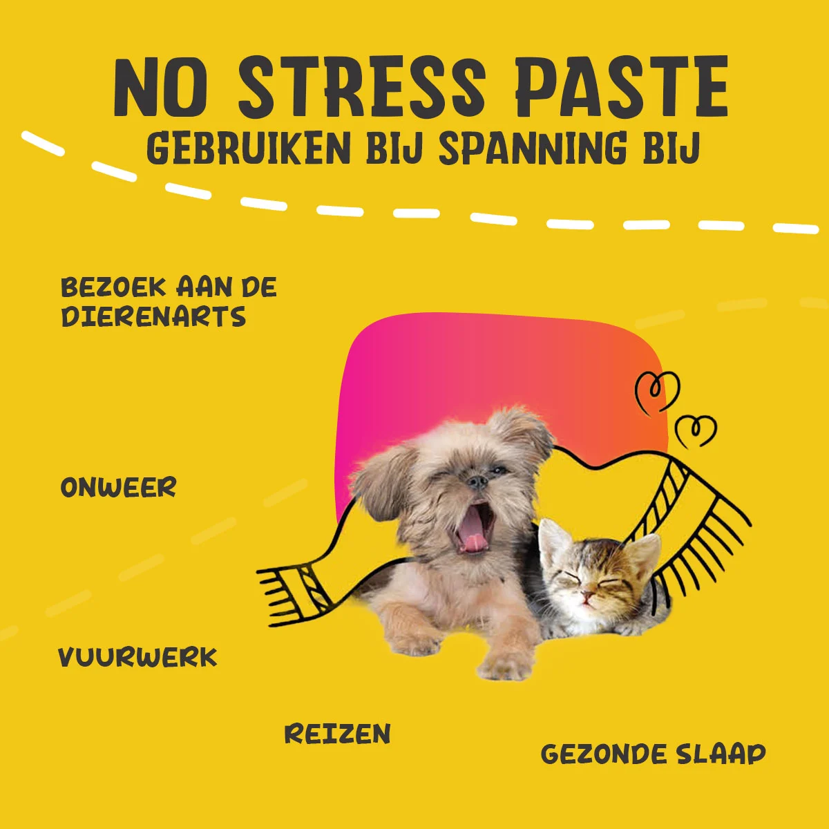 Preparat uzupełniający w proszku dla psów i kotów w sytuacjach stresowych, 250 g – Excellent Pets No Stress Mix - obrazek 4