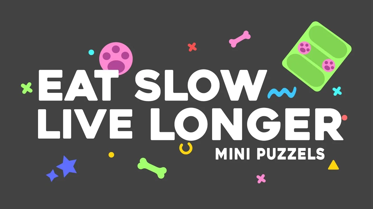 Puzzle dla psa na karmę i przysmaki, 13 x 19 cm – Eat Slow Live Longer Mini Puzzle Rainy Day - obrazek 4