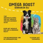 Olej Omega dla psów z olejami roślinnymi, 1 l – Excellent Pets Omega Boost - obrazek 6