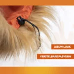 Pomarańczowa grzywa lwa dla psa S – Holland Oranje Manen Tooi - obrazek 4