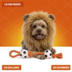 Pomarańczowa grzywa lwa dla psa S – Holland Oranje Manen Tooi - obrazek 5
