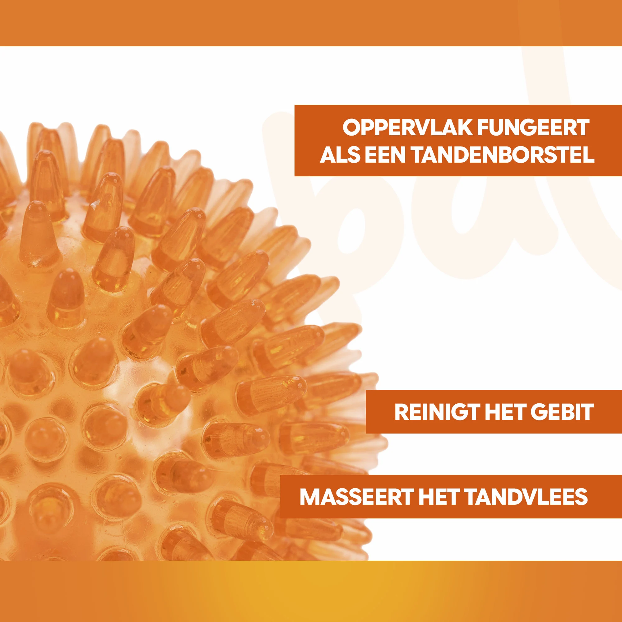 Piłka dla psa z miękkimi kolcami M – Holland Oranje Jeżyk - obrazek 3