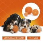 Piłka dla psa z miękkimi kolcami M – Holland Oranje Jeżyk - obrazek 6