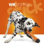 Pływający aport dla psa z piszczałką S 24 cm – Holland Oranje Apporteerstick - obrazek 2