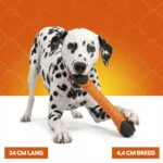Pływający aport dla psa z piszczałką S 24 cm – Holland Oranje Apporteerstick - obrazek 4