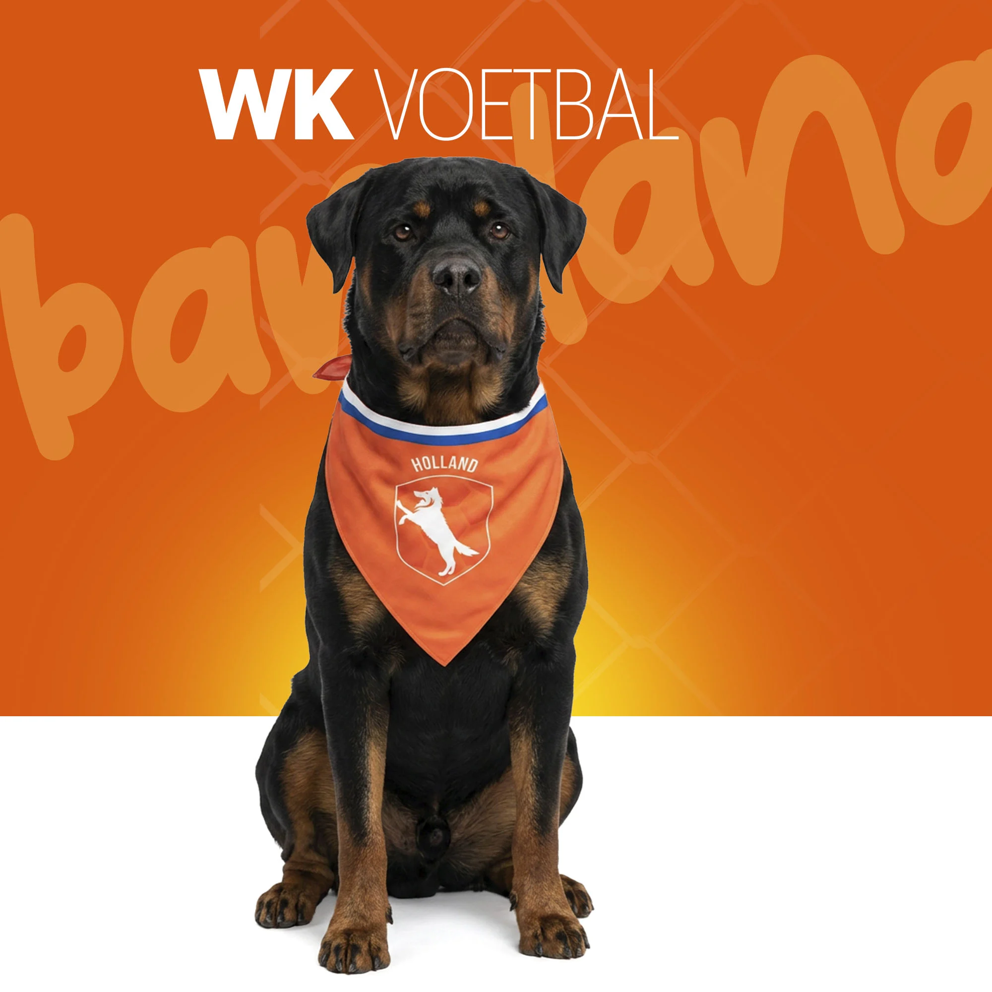 Bandana dla psa pomarańczowa L na Dzień Króla – holenderska bandana w pomarańczowym kolorze - obrazek 2