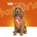 Pomarańczowa bandana dla psa M na Dzień Króla – Holland Oranje Bandana - obrazek 2