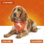 Pomarańczowa bandana dla psa M na Dzień Króla – Holland Oranje Bandana - obrazek 4