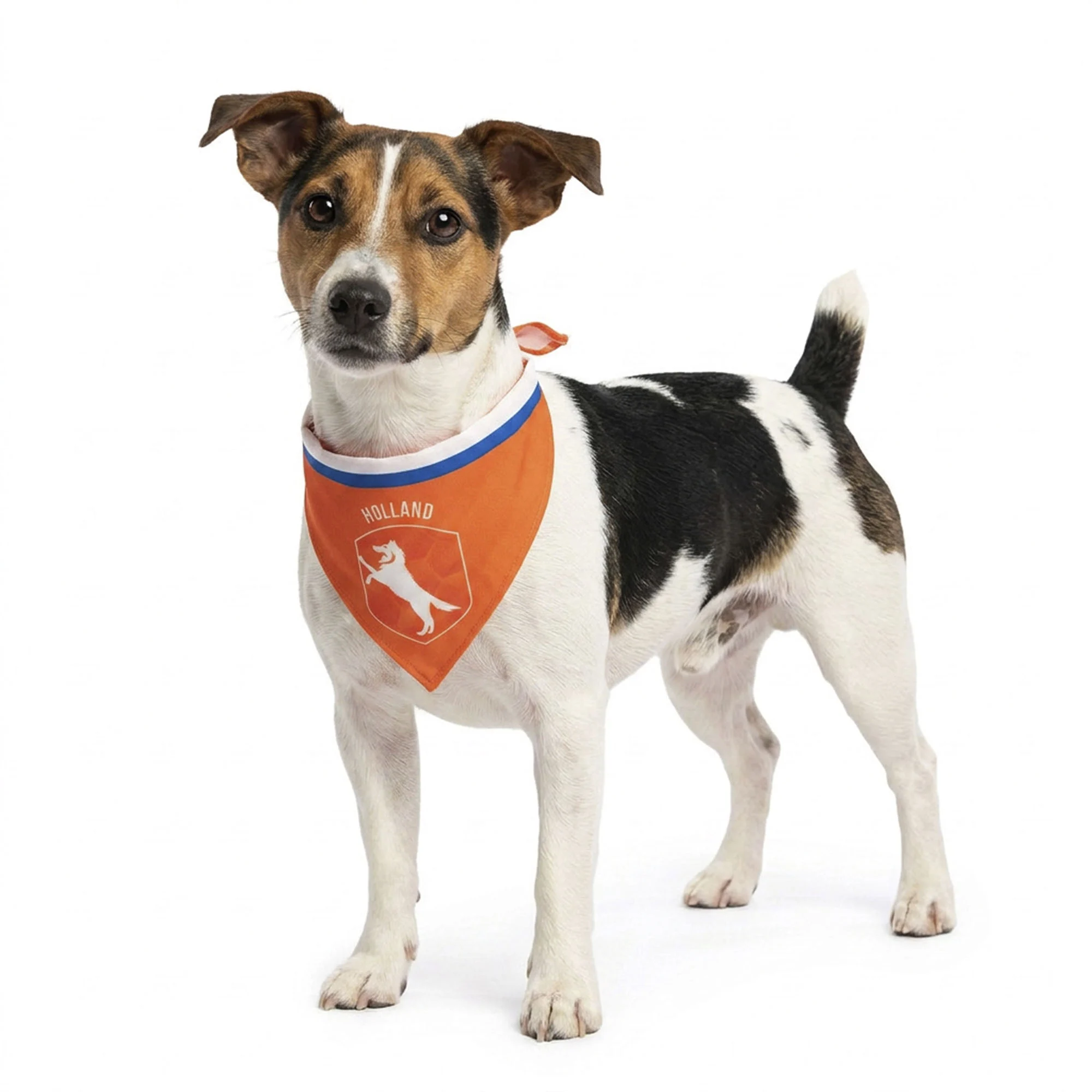 Pomarańczowa bandana dla psa S na Dzień Króla – Holland Oranje Bandana - obrazek 1