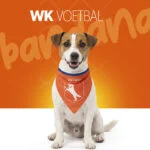 Pomarańczowa bandana dla psa S na Dzień Króla – Holland Oranje Bandana - obrazek 2