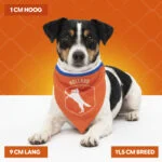Pomarańczowa bandana dla psa S na Dzień Króla – Holland Oranje Bandana - obrazek 4