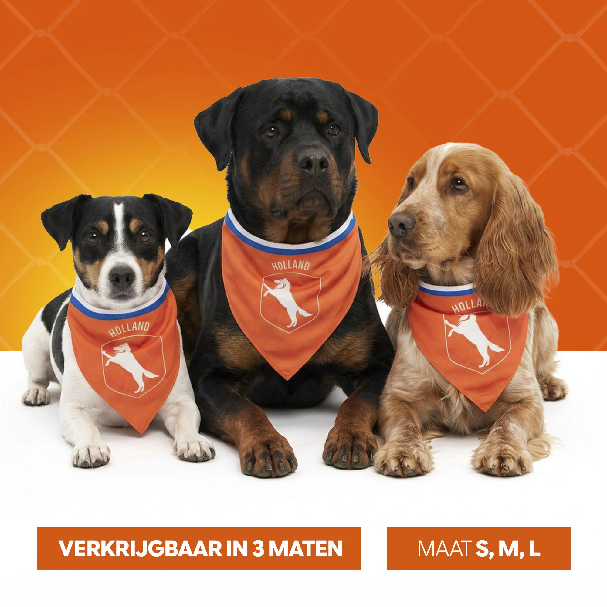 Pomarańczowa bandana dla psa S na Dzień Króla – Holland Oranje Bandana - obrazek 6
