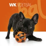 Lateksowa zabawka dla psa z piszczałką, pomarańczowa, M – Holland Mr. Dutch - obrazek 2