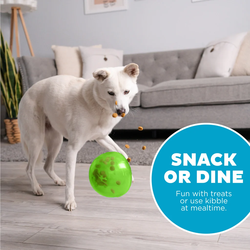 Zabawka na przysmaki dla psa z TPE – Outward Hound Orbee-Tuff Snoop - obrazek 4