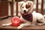 Zabawka na przysmaki dla psów z TPE – Outward Hound Orbee-Tuff Snoop (Lil' Snoop) - obrazek 2
