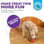 Zabawka na przysmaki dla psów z TPE – Outward Hound Orbee-Tuff Snoop (Lil' Snoop) - obrazek 4