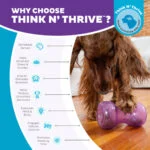 Zabawka na przysmaki dla psów z TPE – Outward Hound Double Snoop - obrazek 6