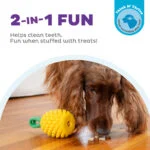 Zabawka do gryzienia z liną i owocowym aromatem – Outward Hound (Kyjen) Dental Pineapple - obrazek 4