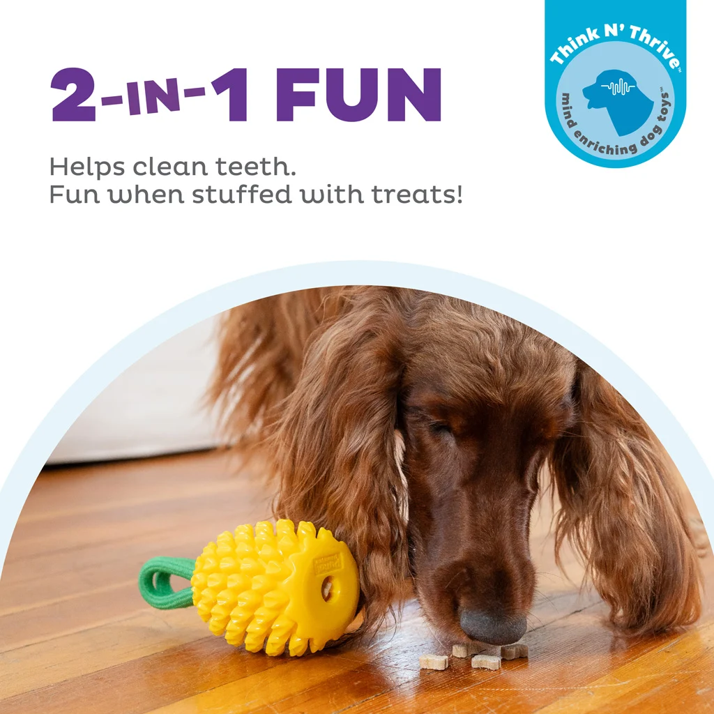 Zabawka do gryzienia z liną i owocowym aromatem – Outward Hound (Kyjen) Dental Pineapple - obrazek 4