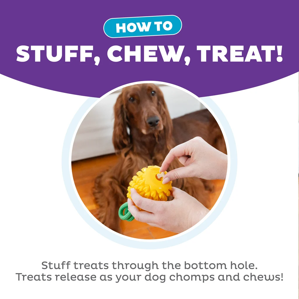 Zabawka do gryzienia z liną i owocowym aromatem – Outward Hound (Kyjen) Dental Pineapple - obrazek 6